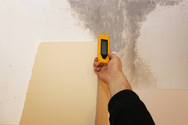 Best Air Quality Testing for Mold Spores  in Knox, IN