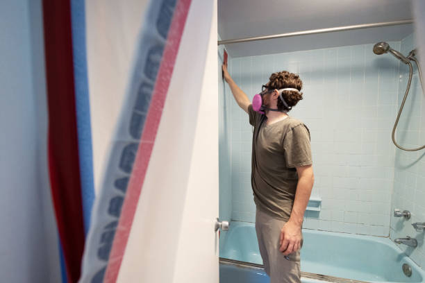 Best Mold Odor Removal Services  in Knox, IN